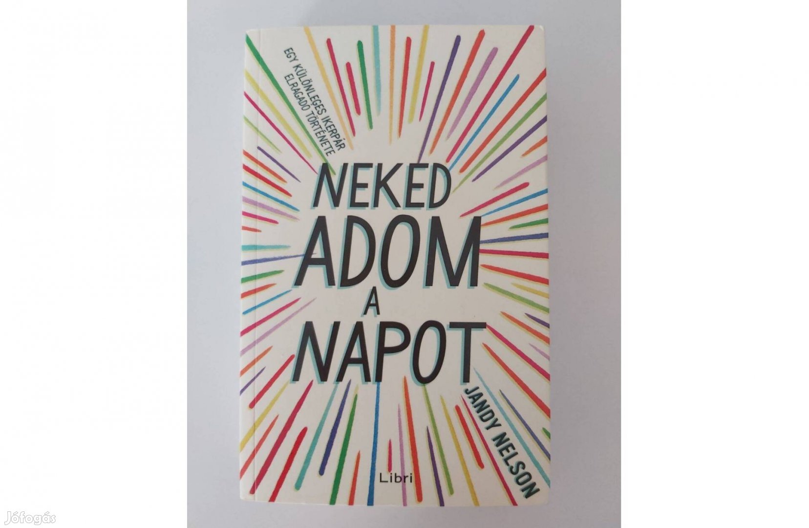 Jandy Nelson: Neked adom a napot