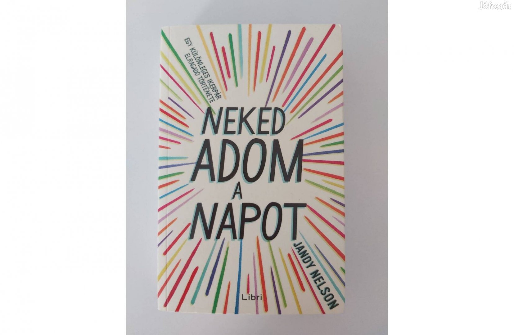 Jandy Nelson: Neked adom a napot