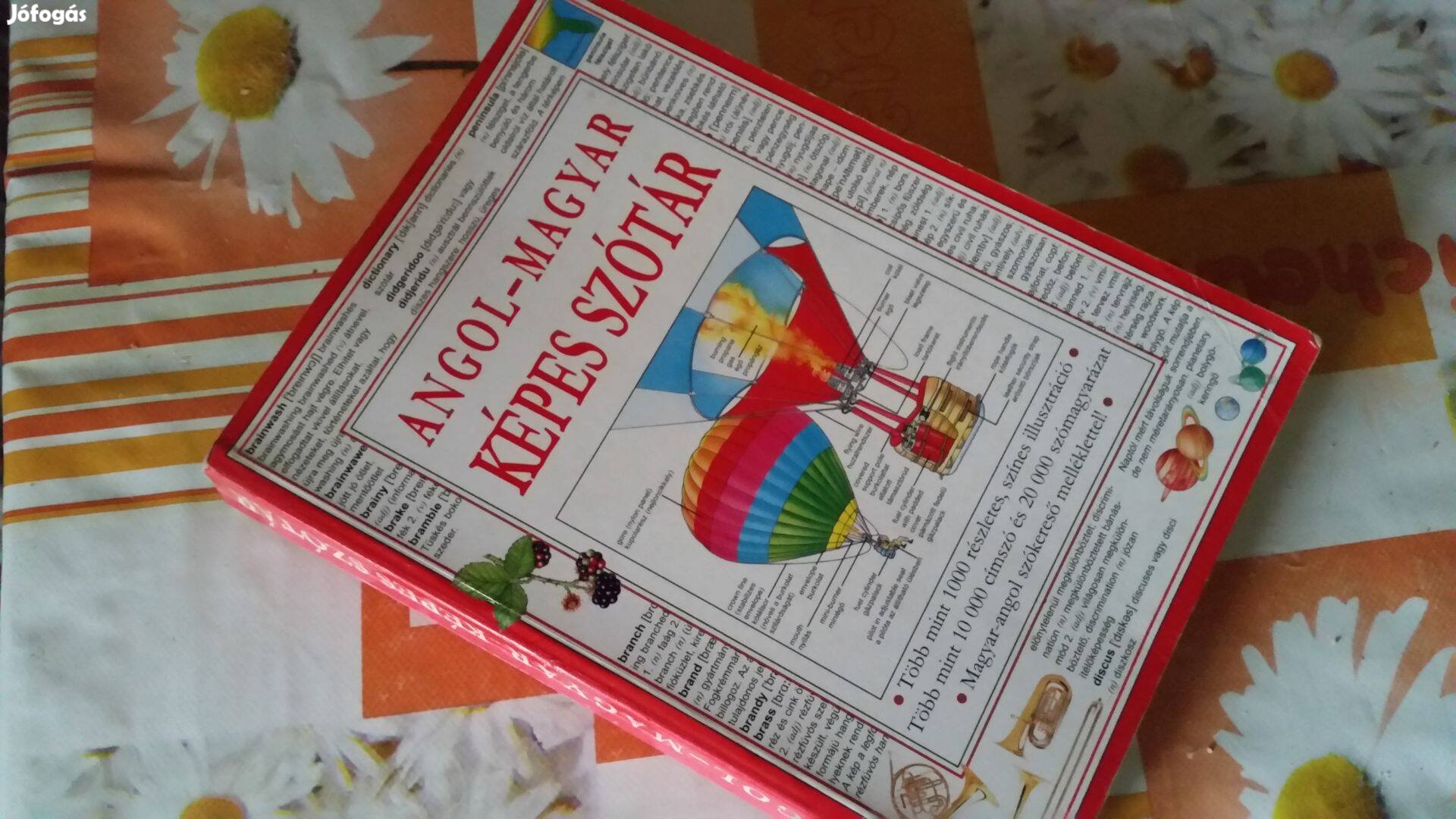 Jane Bingham szerk. Angol-Magyar képes szótár