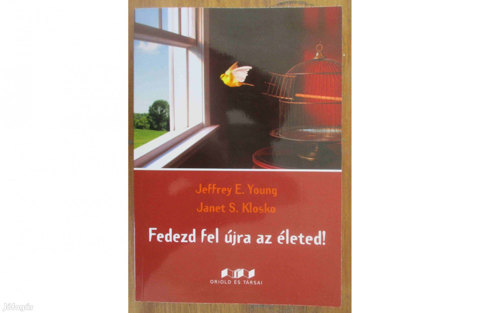 Janet S. Klosko, Jeffrey E. Young: Fedezd fel újra az életed!