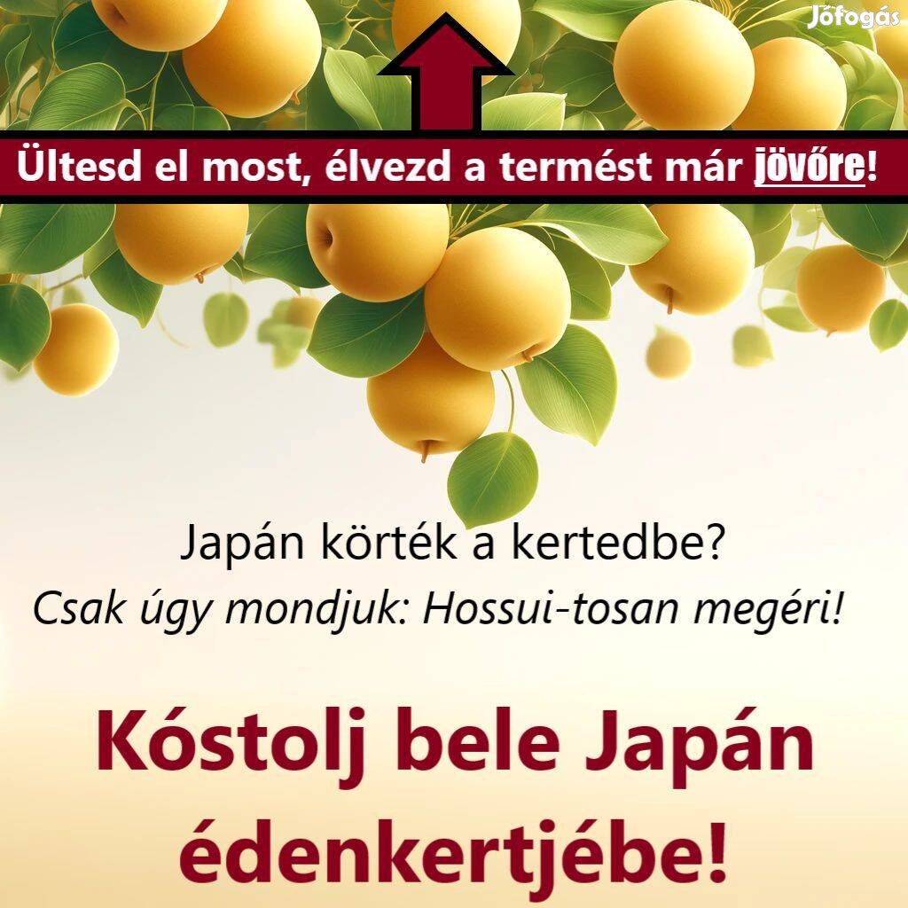 Japán körték a kertedbe? Csak úgy mondjuk: Hossui-tosan megéri!