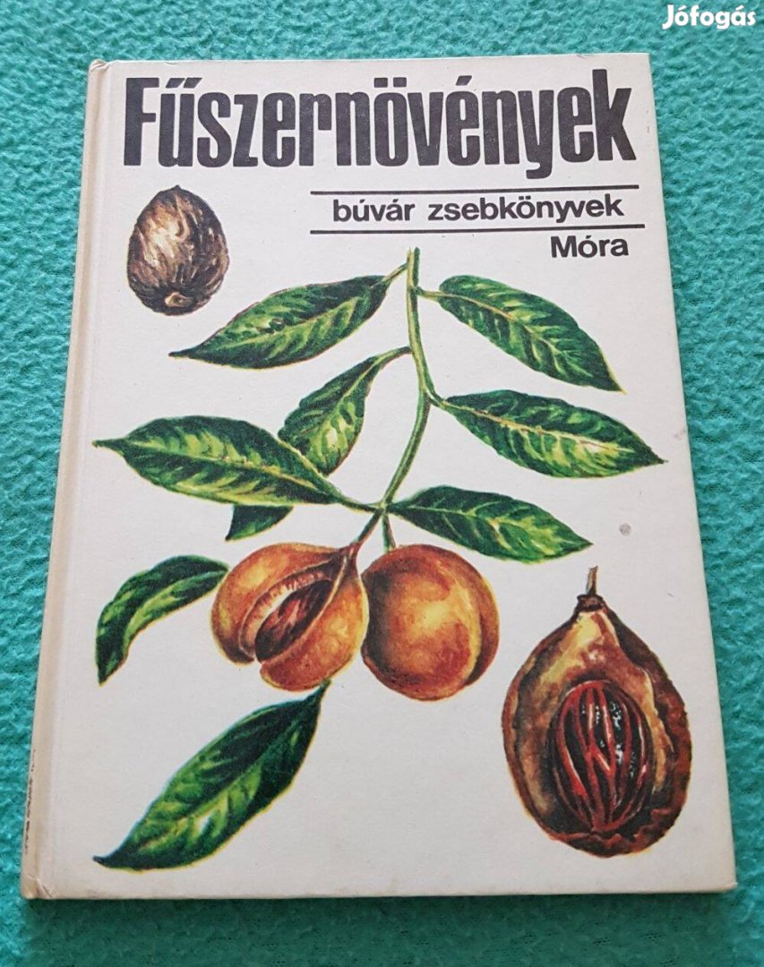 Járainé Dr. Komlódi Magda - Fűszernövények könyv