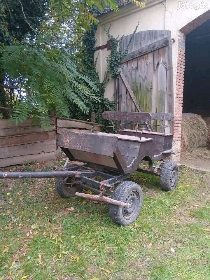 Jártató hintó, lovas kocsi