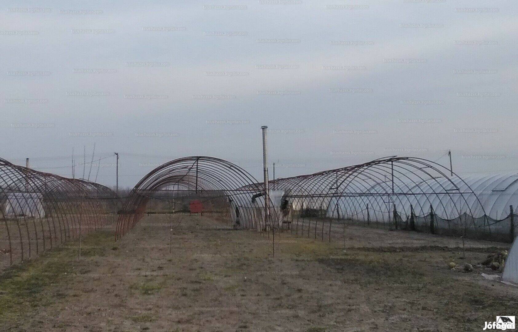 Jászszentlászlón bővíthető telek eladó