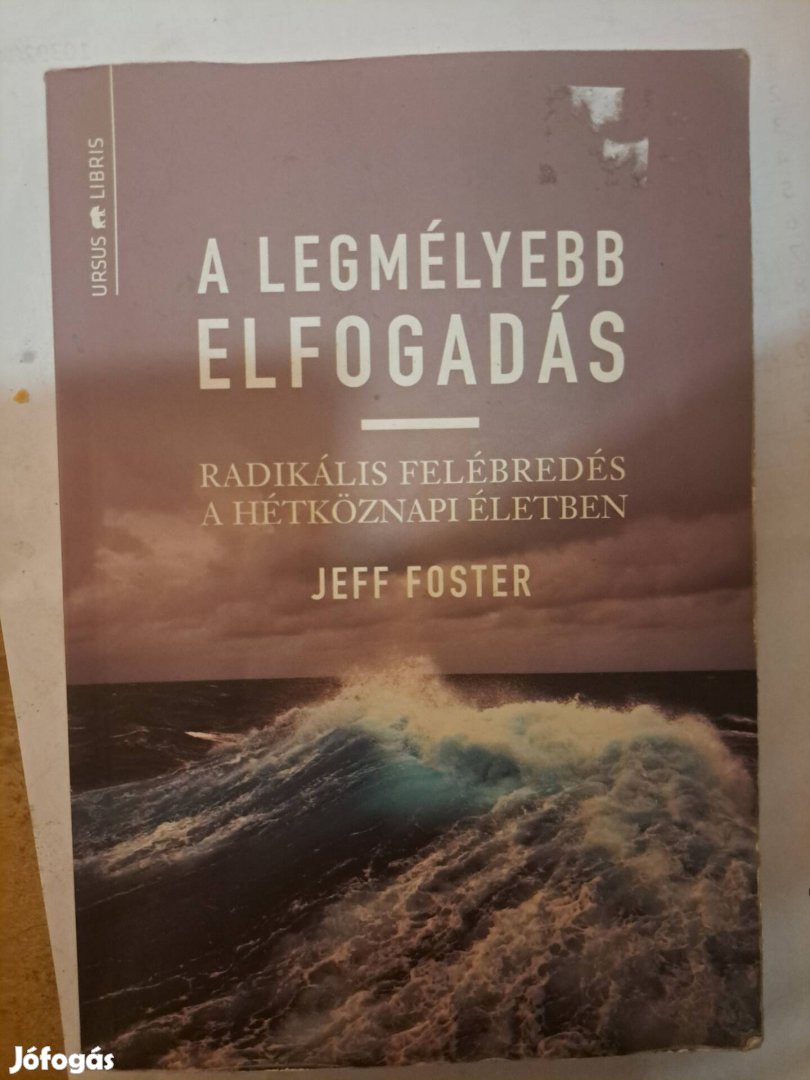 Jeff Foster könyv