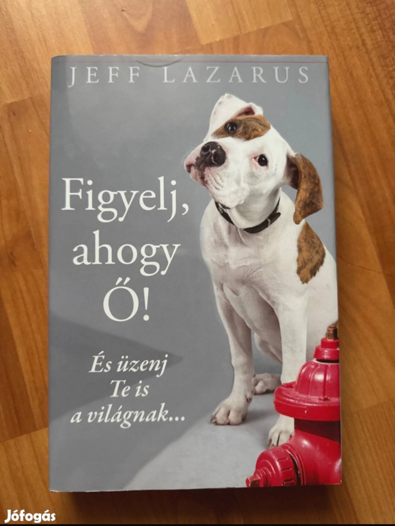 Jeff Lazarus - Figyelj, ahogy Ő! 