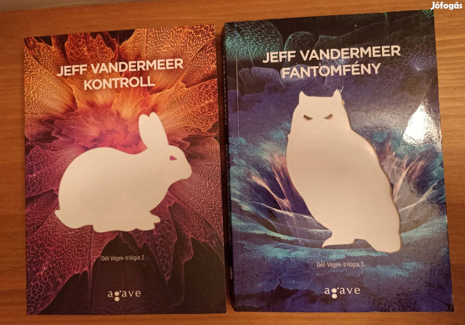 Jeff Vandermeer Kontroll + Fantomfény