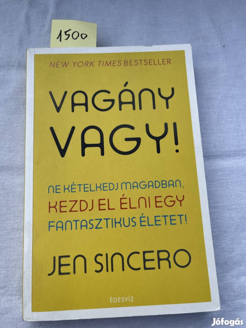 Jen Sincer: vagány vagy!