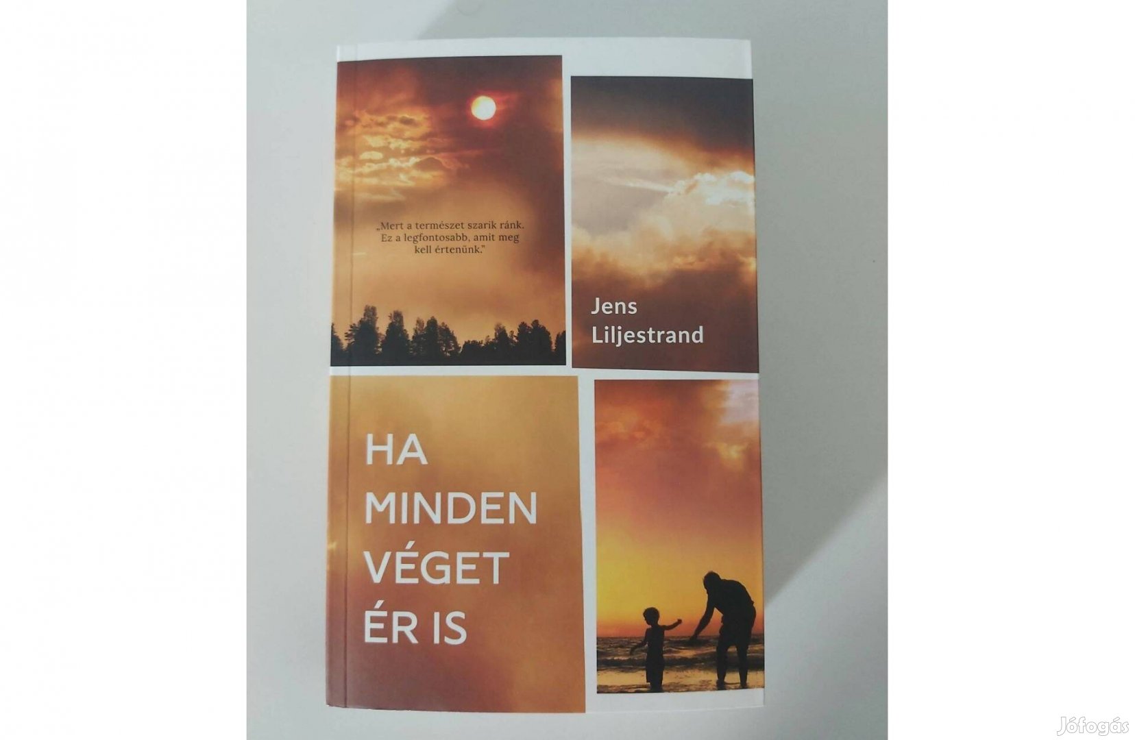 Jens Liljestrand Ha minden véget ér is