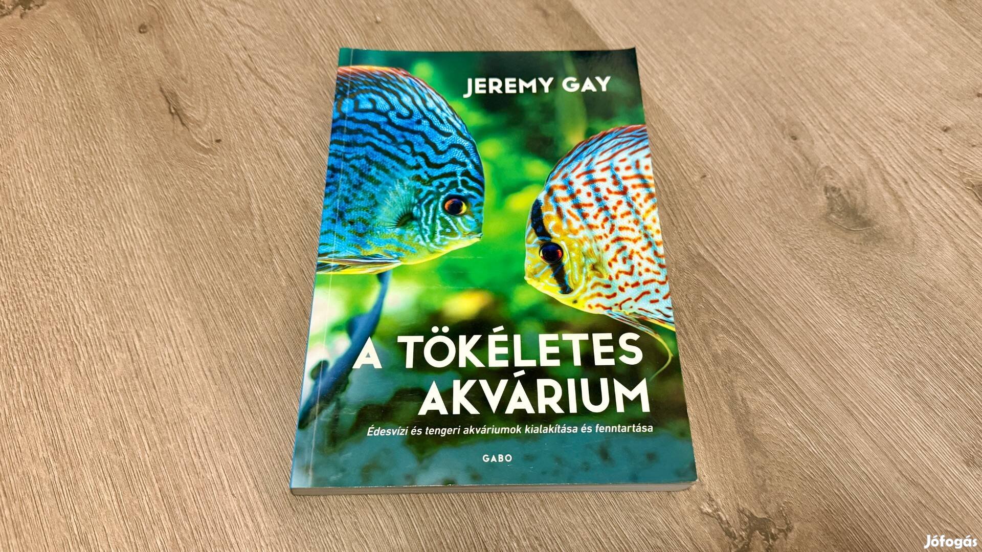 Jeremy Gay A tökéletes akvárium Új, olvasatlan