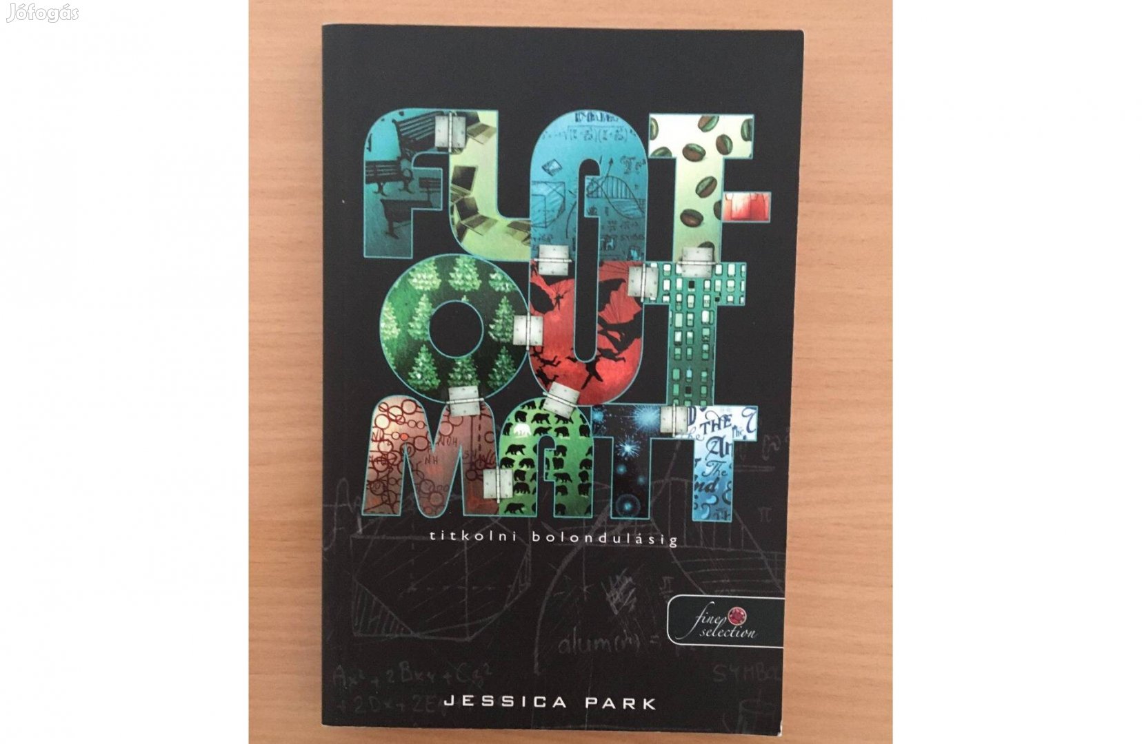 Jessica Park: Flat-Out-Matt - Titkolni bolondulásig című könyv