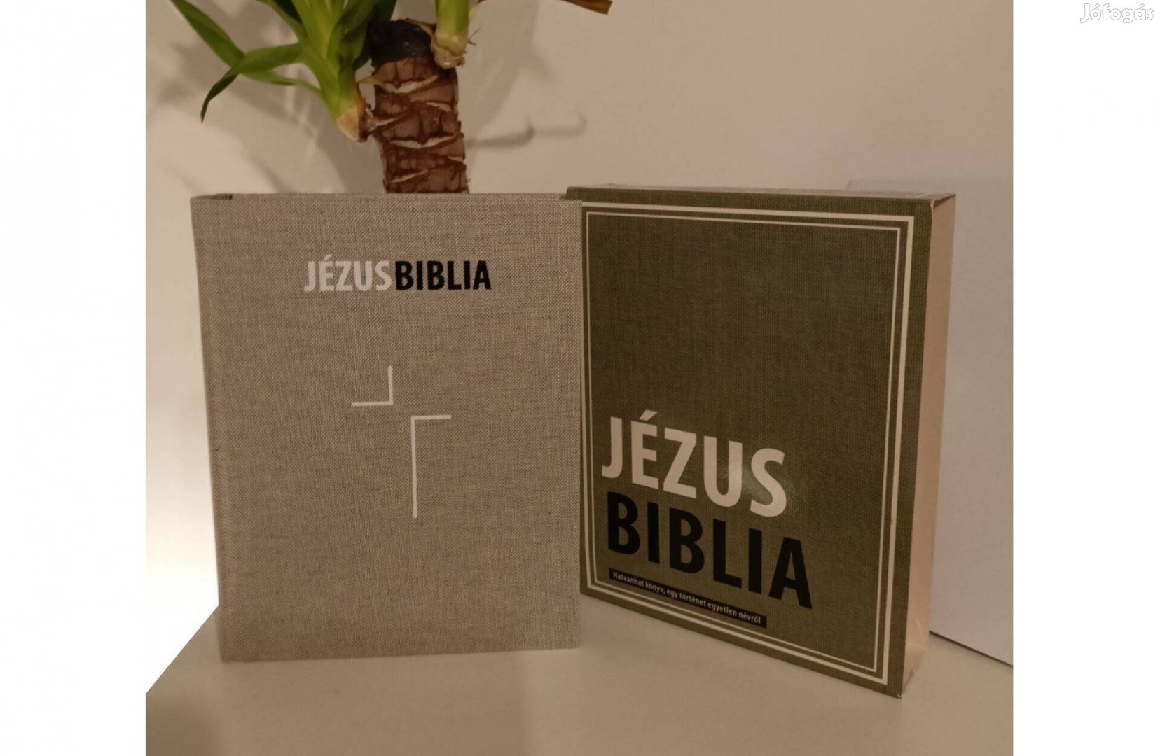 Jézus Biblia Hatvanhat Könyv,Egy Történet Egyetlen Névről