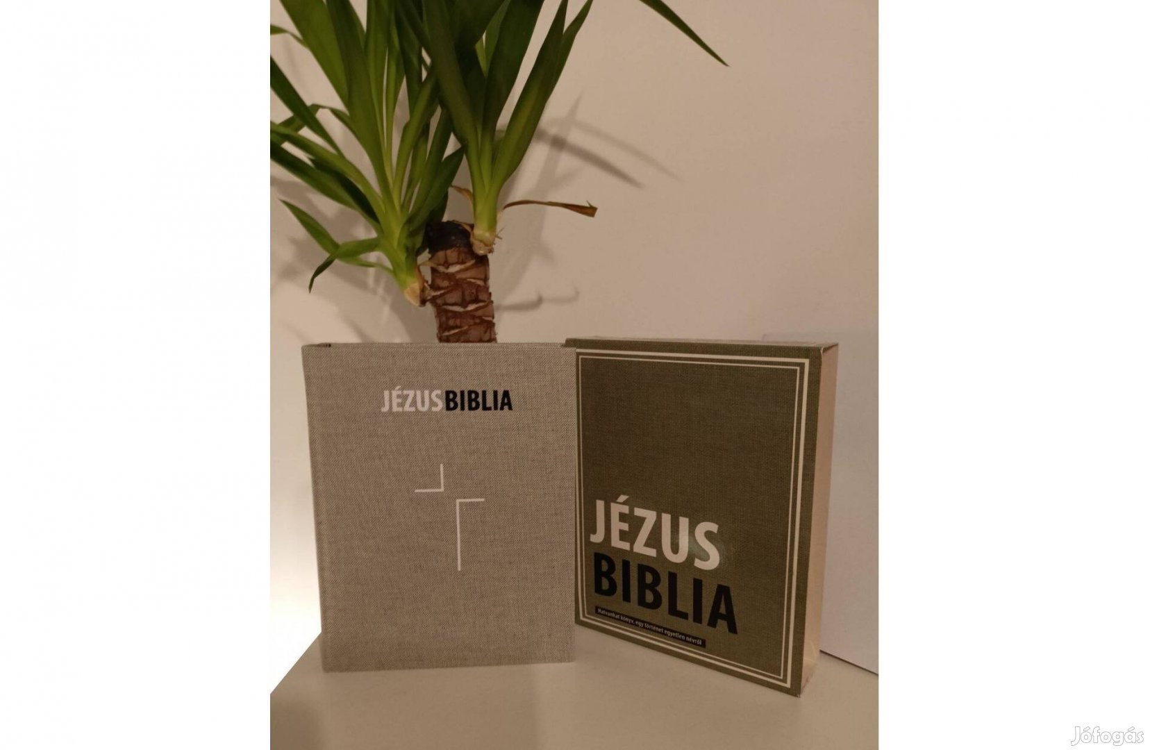 Jézus Biblia, Hatvanhat Könyv, A Teljes írás Istentől Ihletett