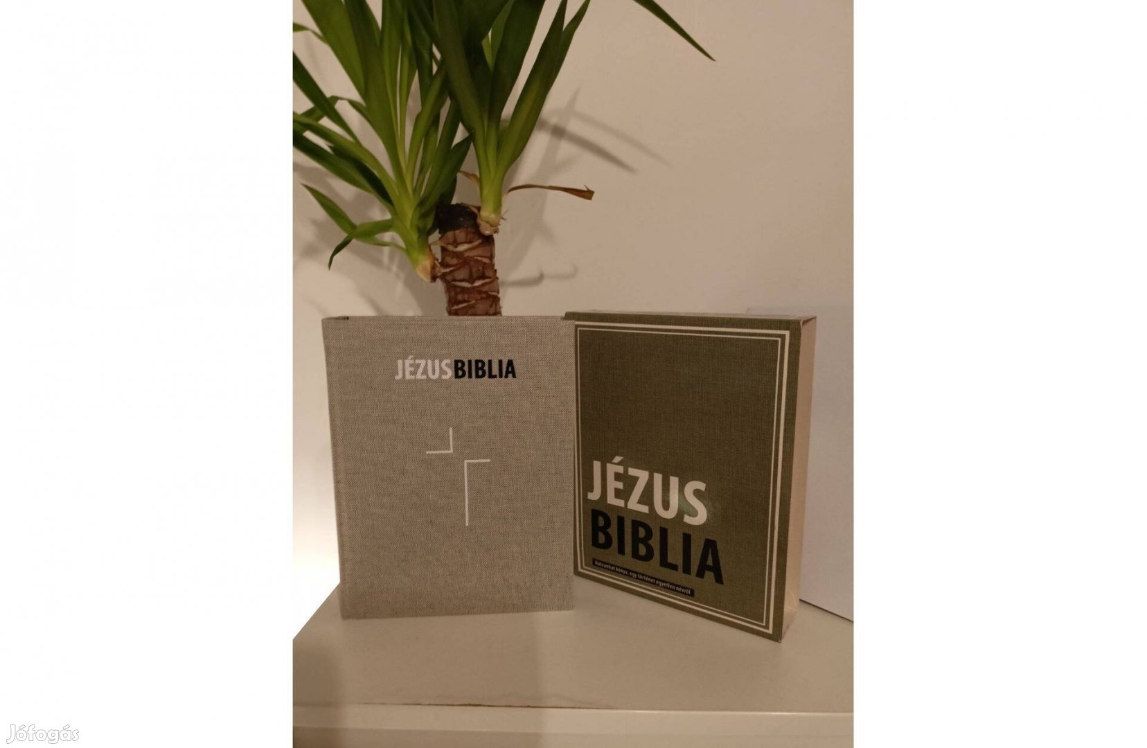 Jézus Biblia,a Biblia Istentől ihletett, igéje örökre megmarad