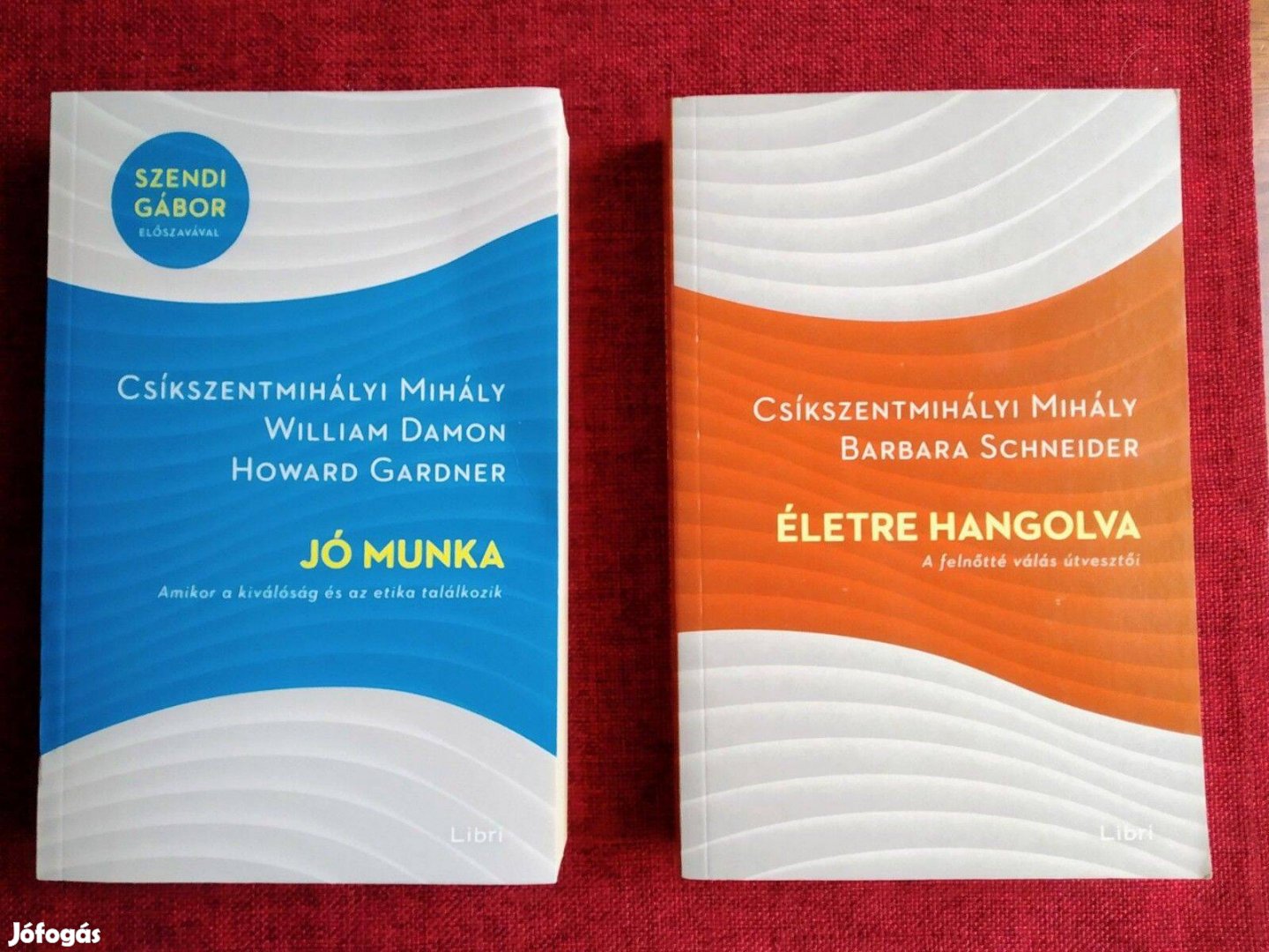 Jó munka - Életre Hangolva Csíkszentmihályi Mihály