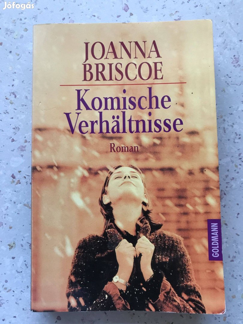 Joanna Briscoe Komische Verkaltnisse regény