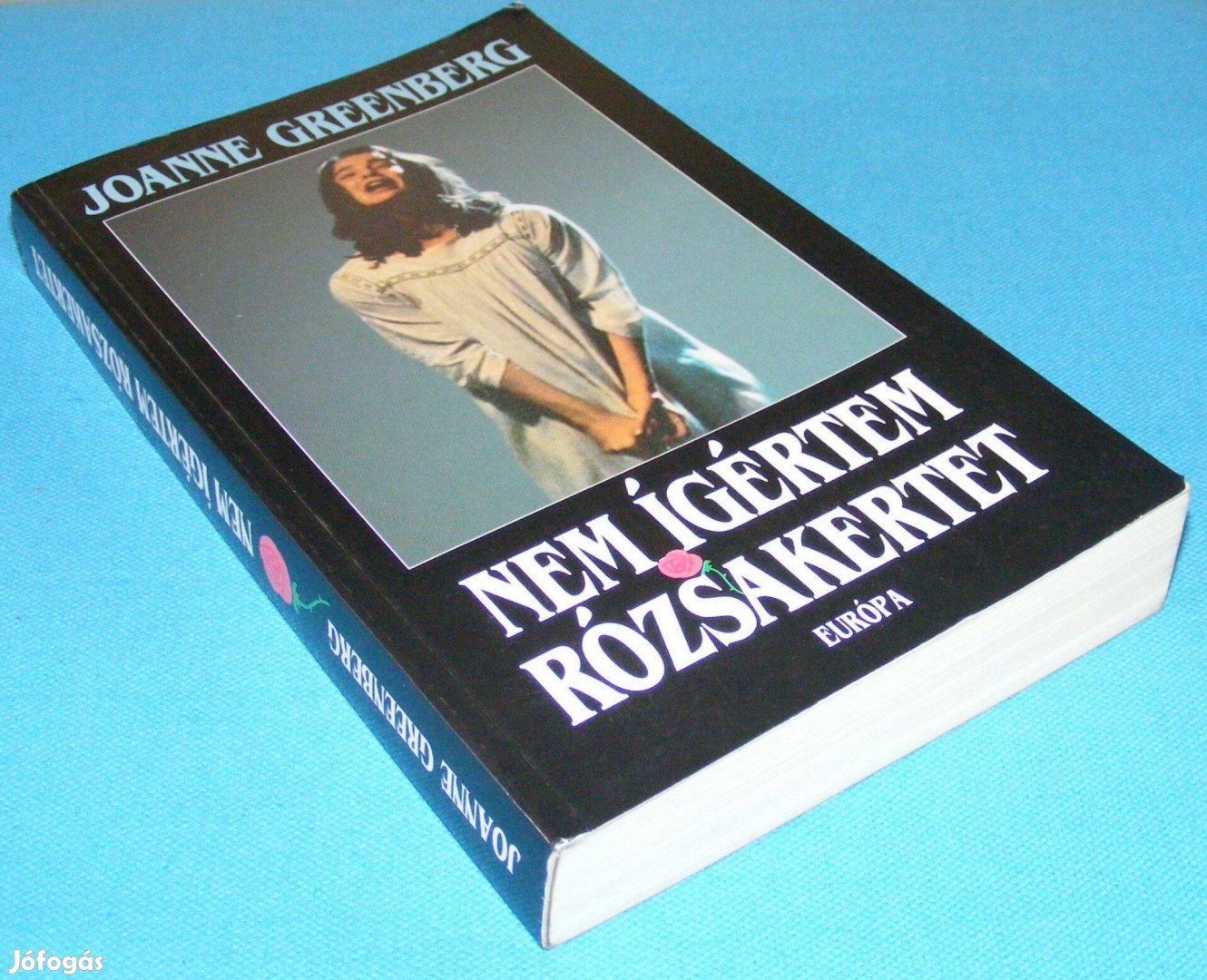 Joanne Greenberg Nem ígértem rózsakertet