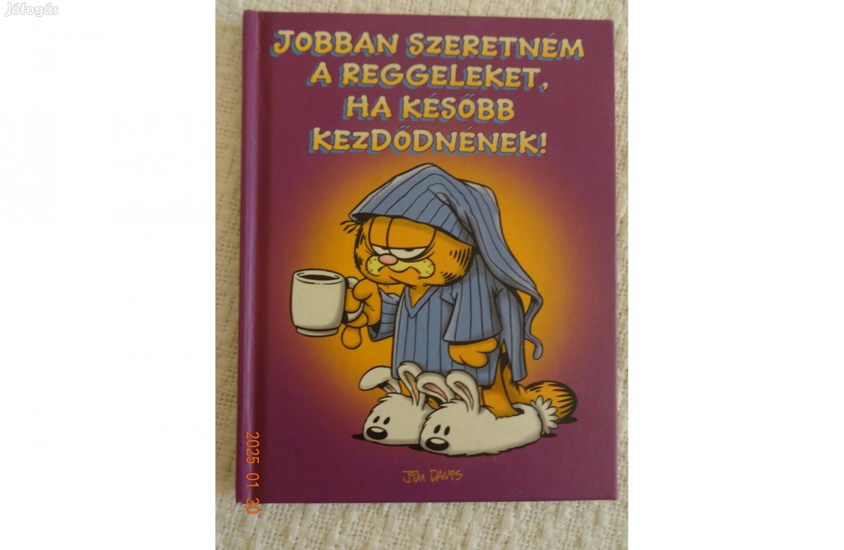 Jobban Szeretném A Reggeleket, HA Később Kezdődnének! (Garfield)