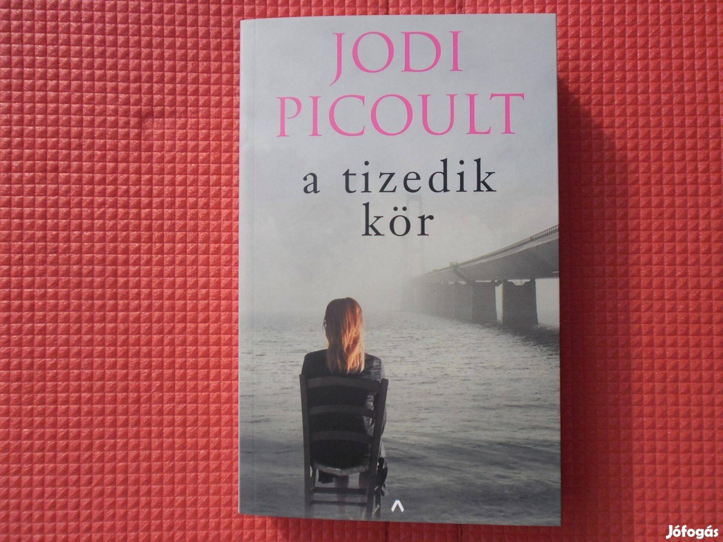 Jodi Picoult: A tizedik kör