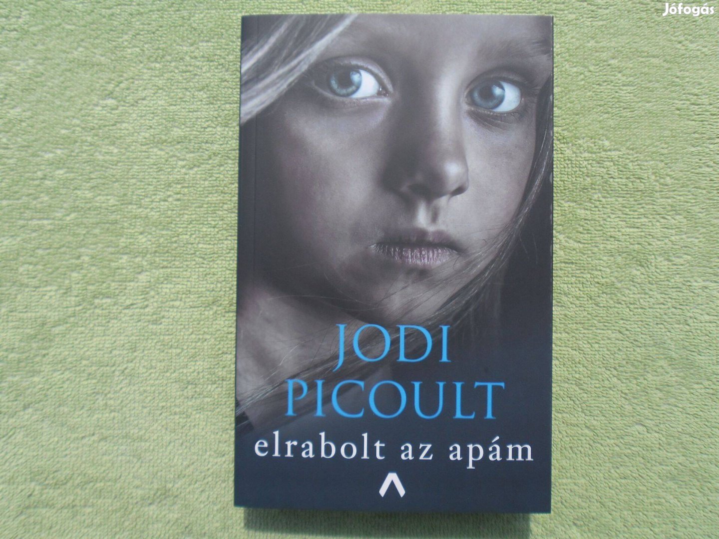 Jodi Picoult: Elrabolt az apám