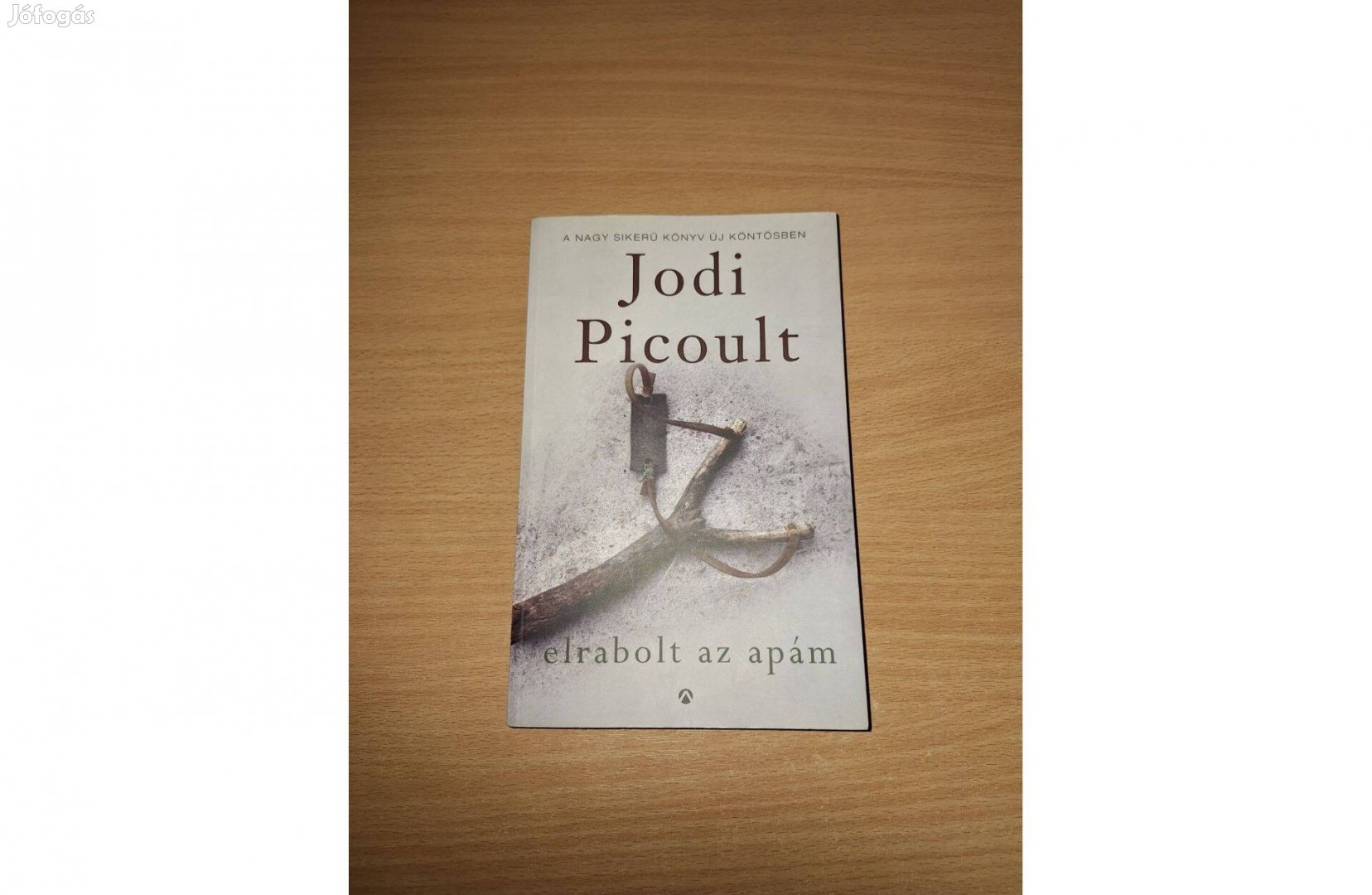 Jodi Picoult: Elrabolt az apám