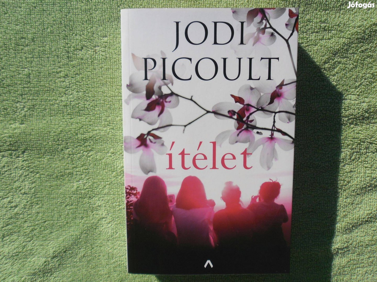 Jodi Picoult: Ítélet