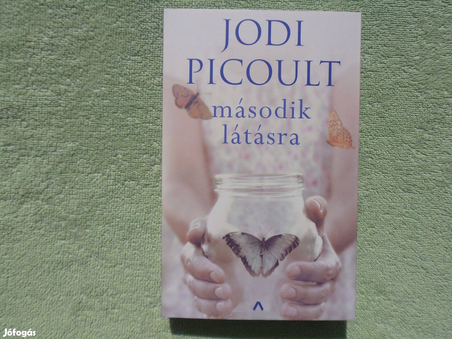 Jodi Picoult: Második látásra