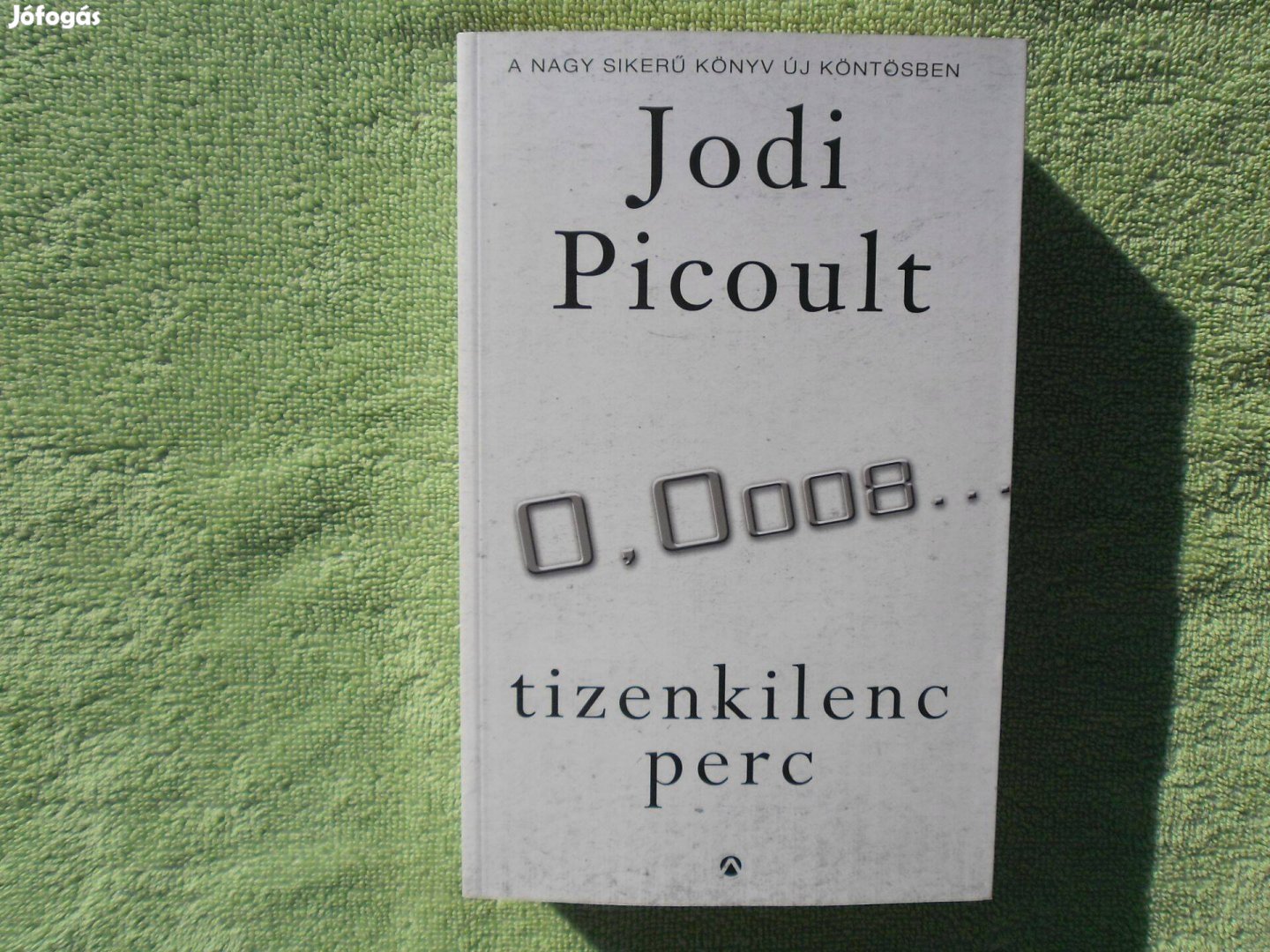 Jodi Picoult: Tizenkilenc perc