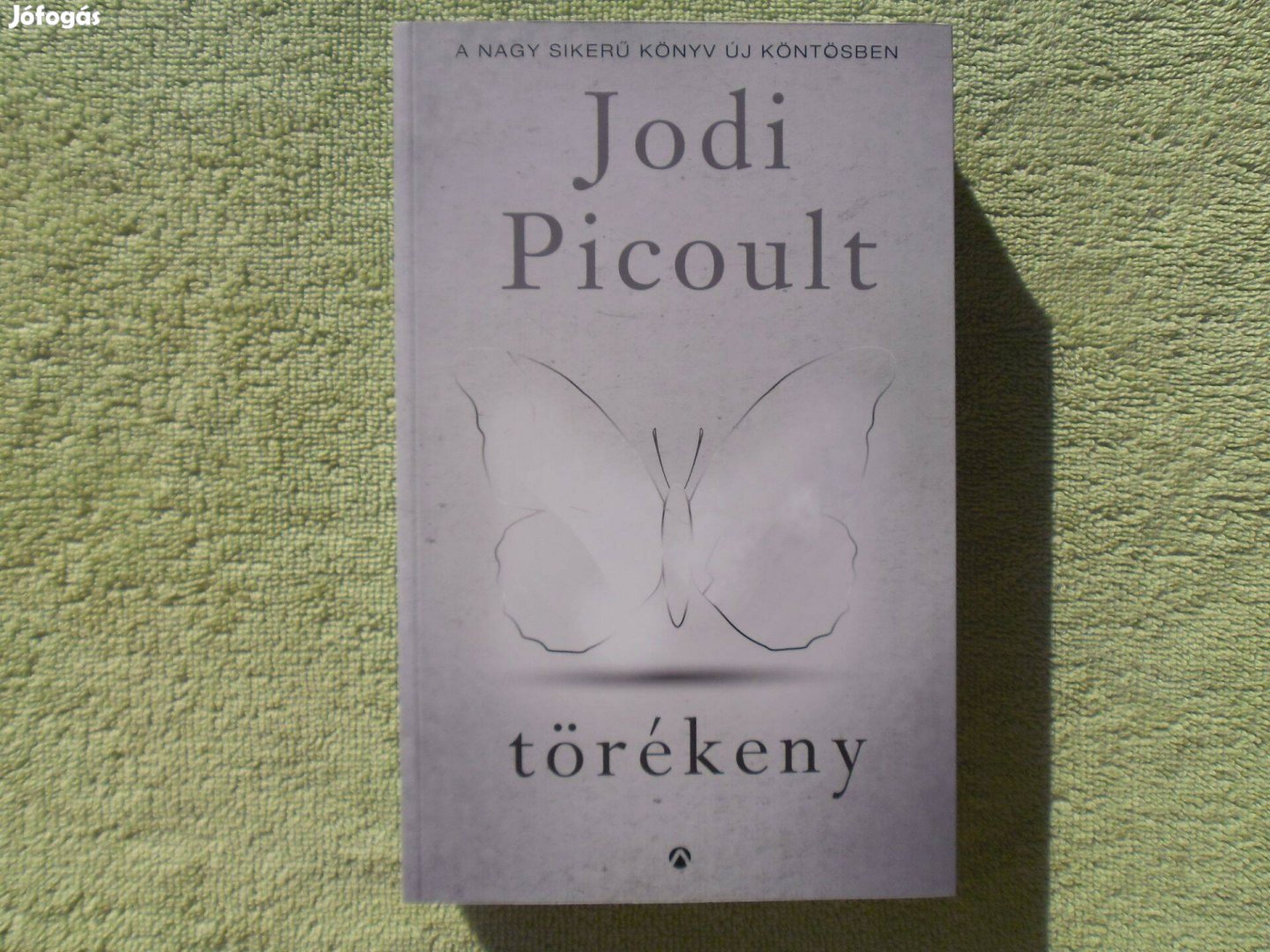 Jodi Picoult. Törékeny