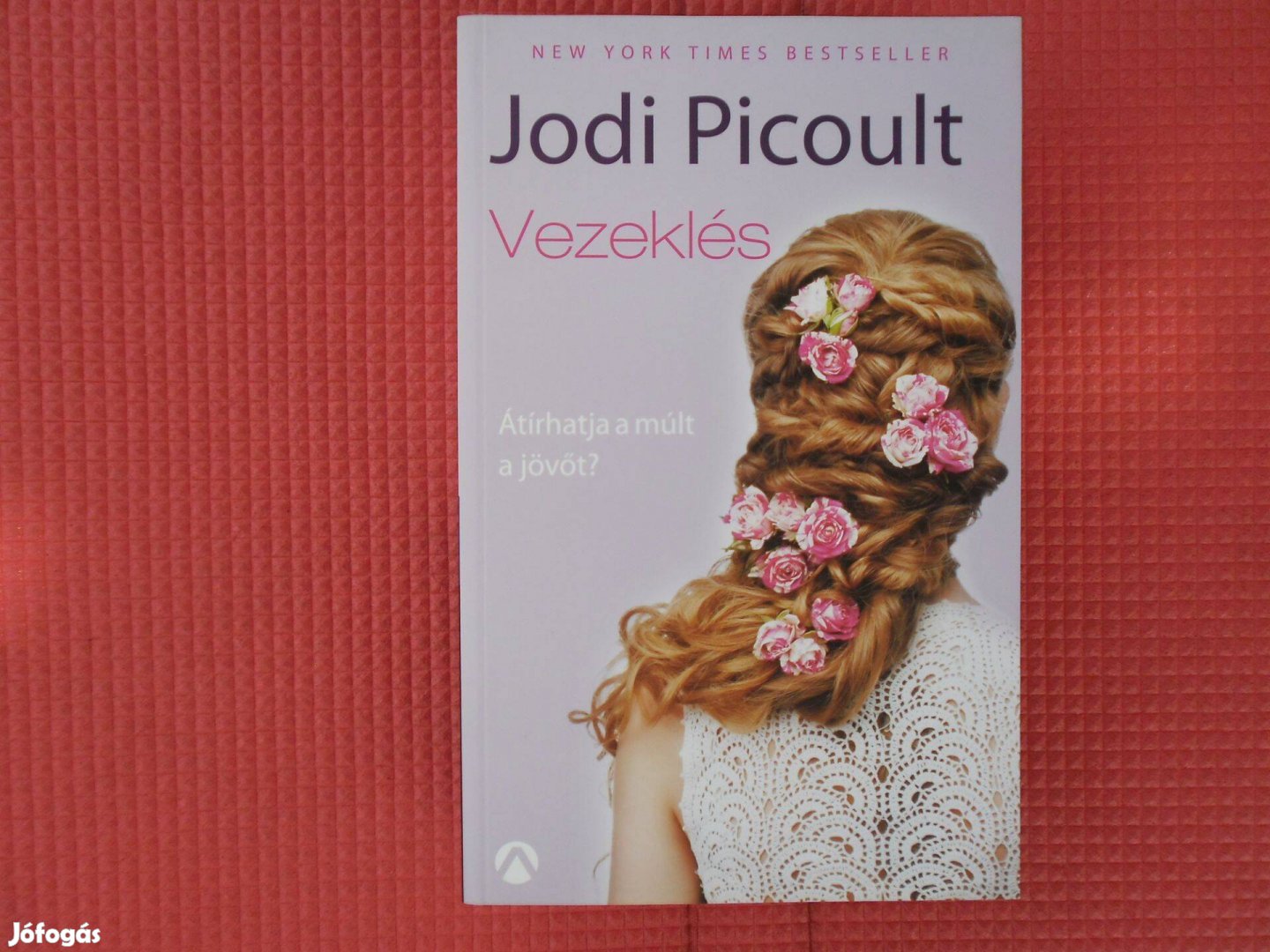 Jodi Picoult: Vezeklés