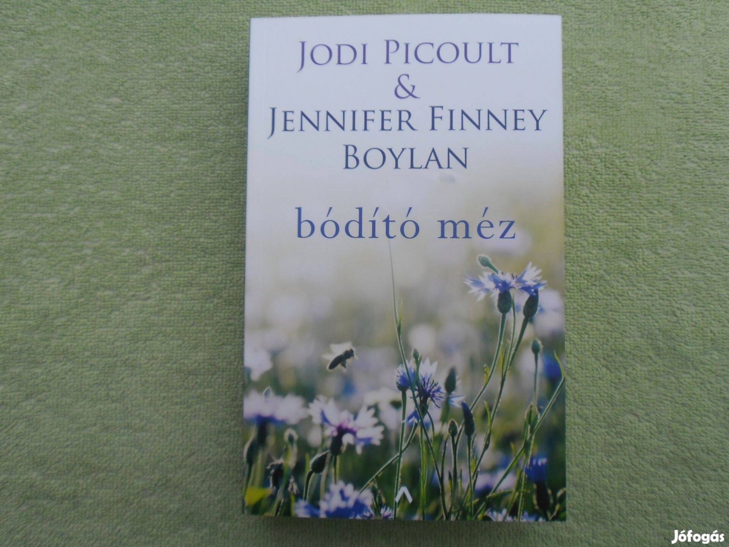 Jodi Picoult - Jennifer Finney Boylan: Bódító méz