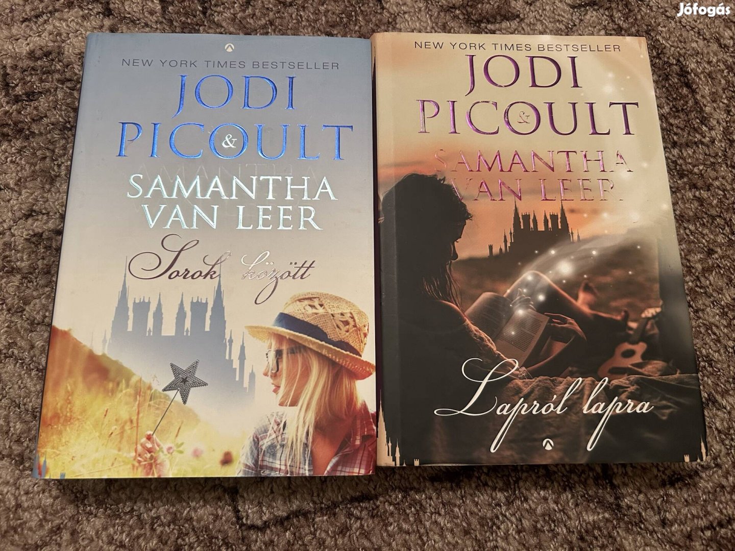 Jodi Picoult - Samantha van Leer: Sorok között