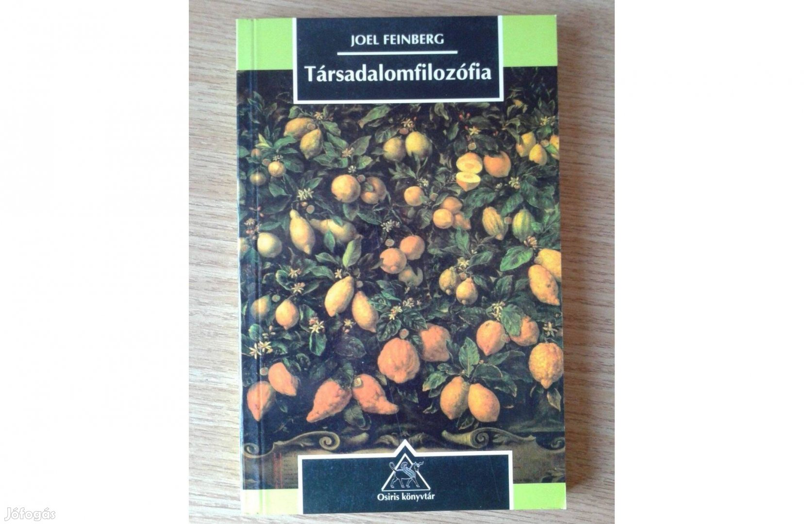 Joel Feinberg: Társadalomfilozófia