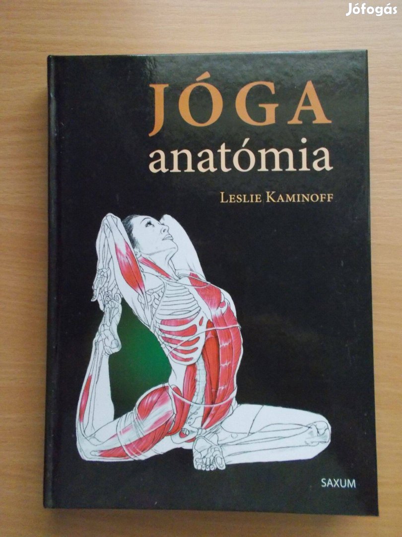 Jóga anatómia, Leslie Kaminoff