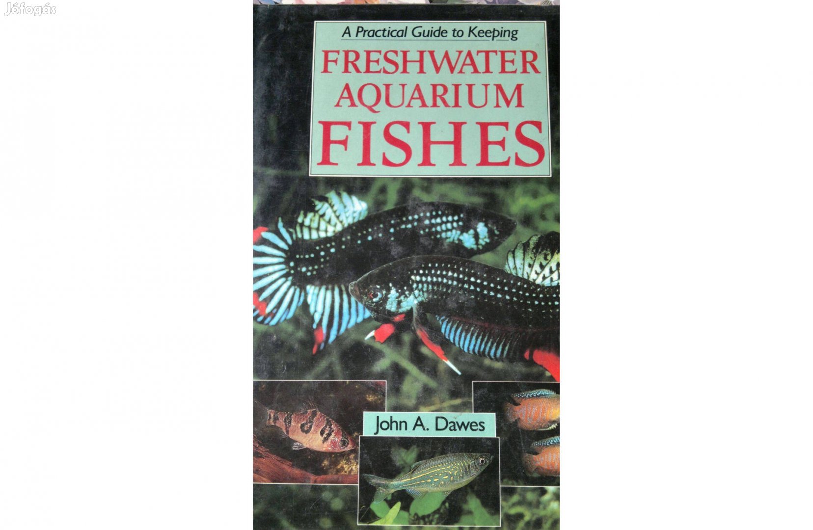 John A Dawes :Fishes :Freshwater Aquarium: Új