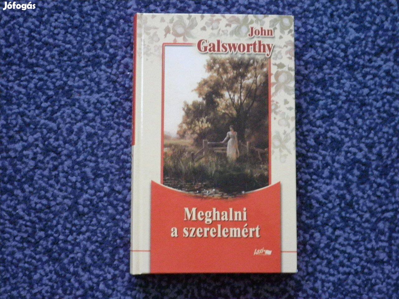 John Galsworthy - Meghalni a szerelemért