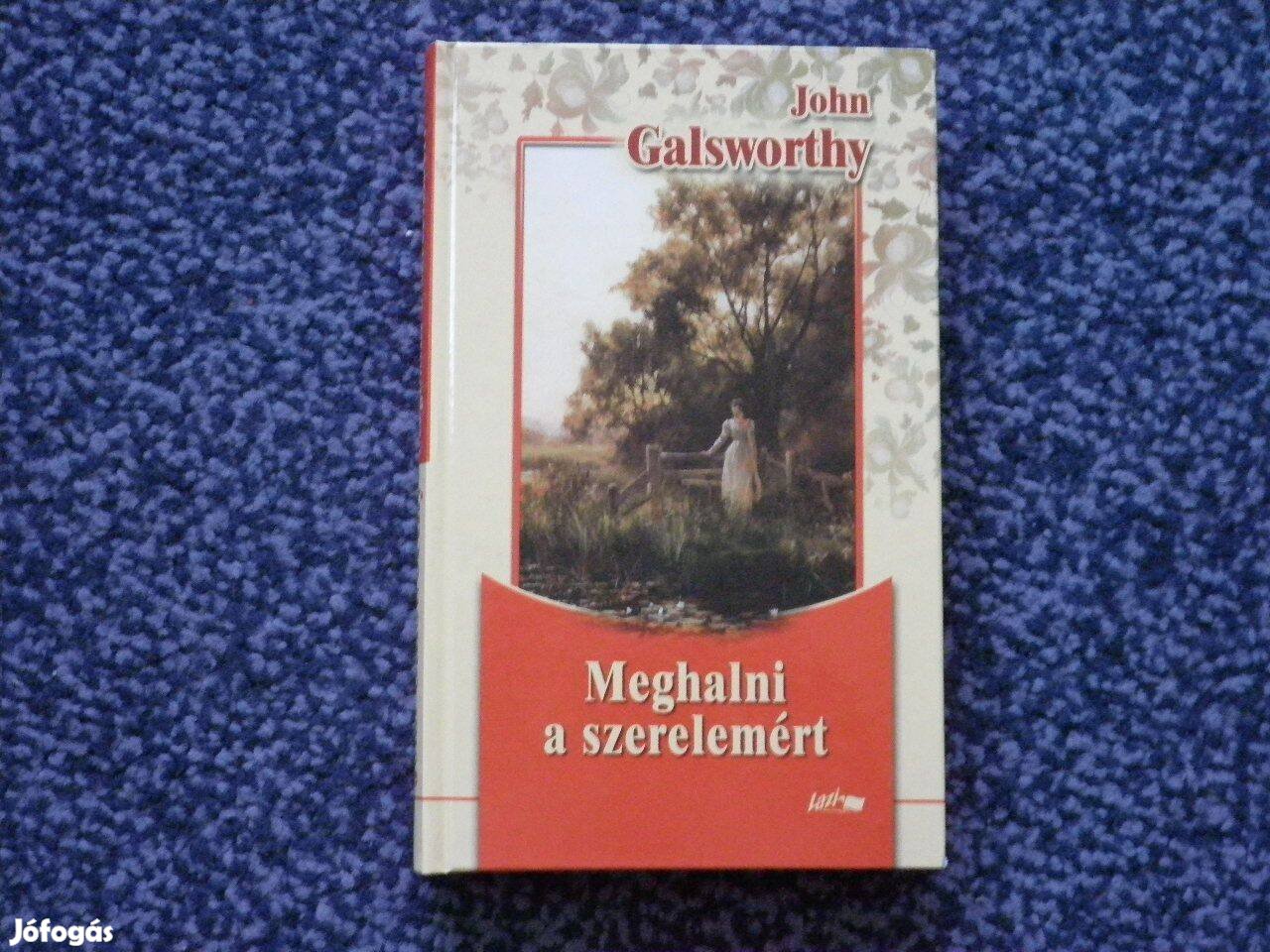 John Galsworthy - Meghalni a szerelemért