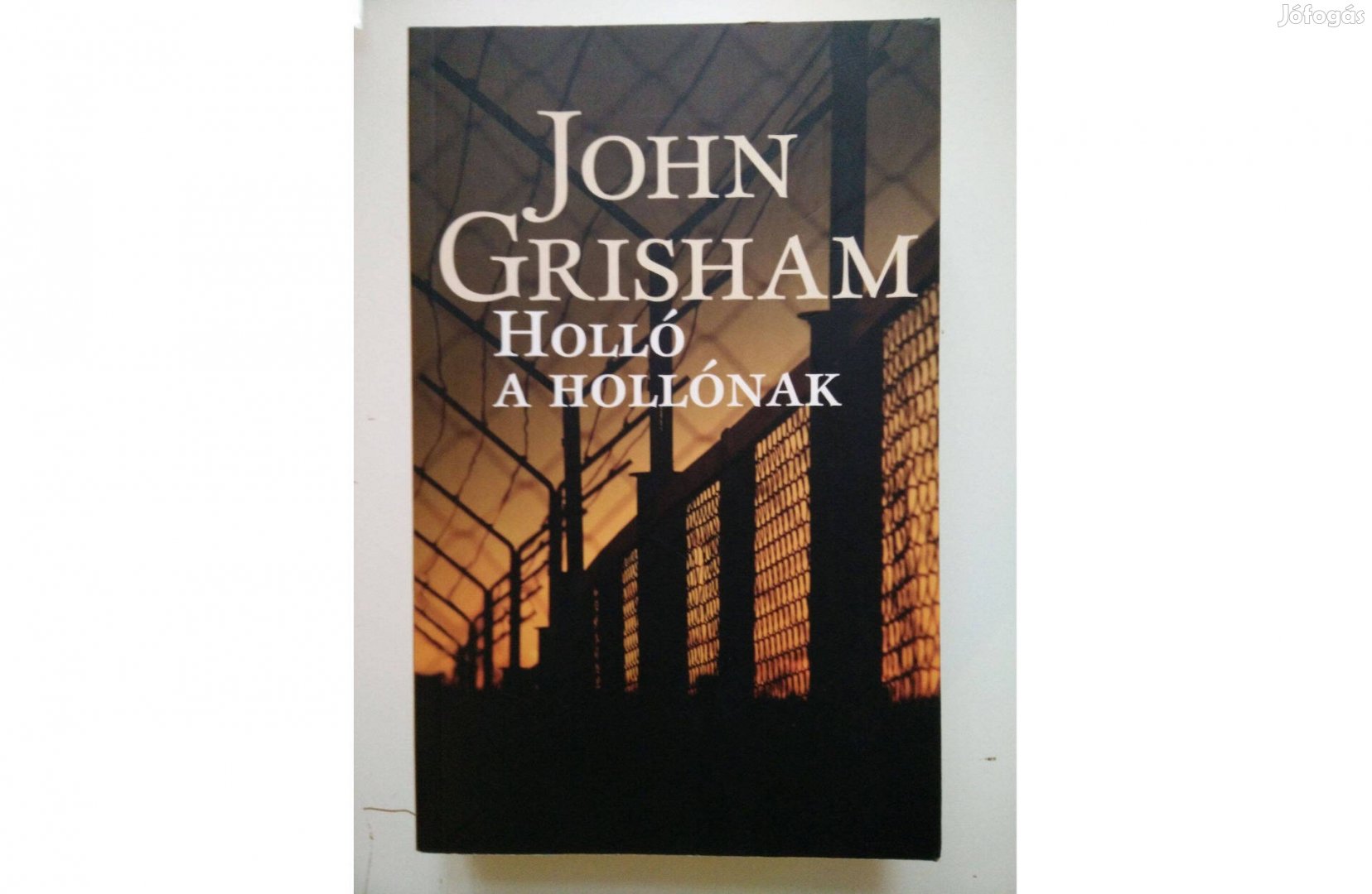 John Grisham: Holló a hollónak