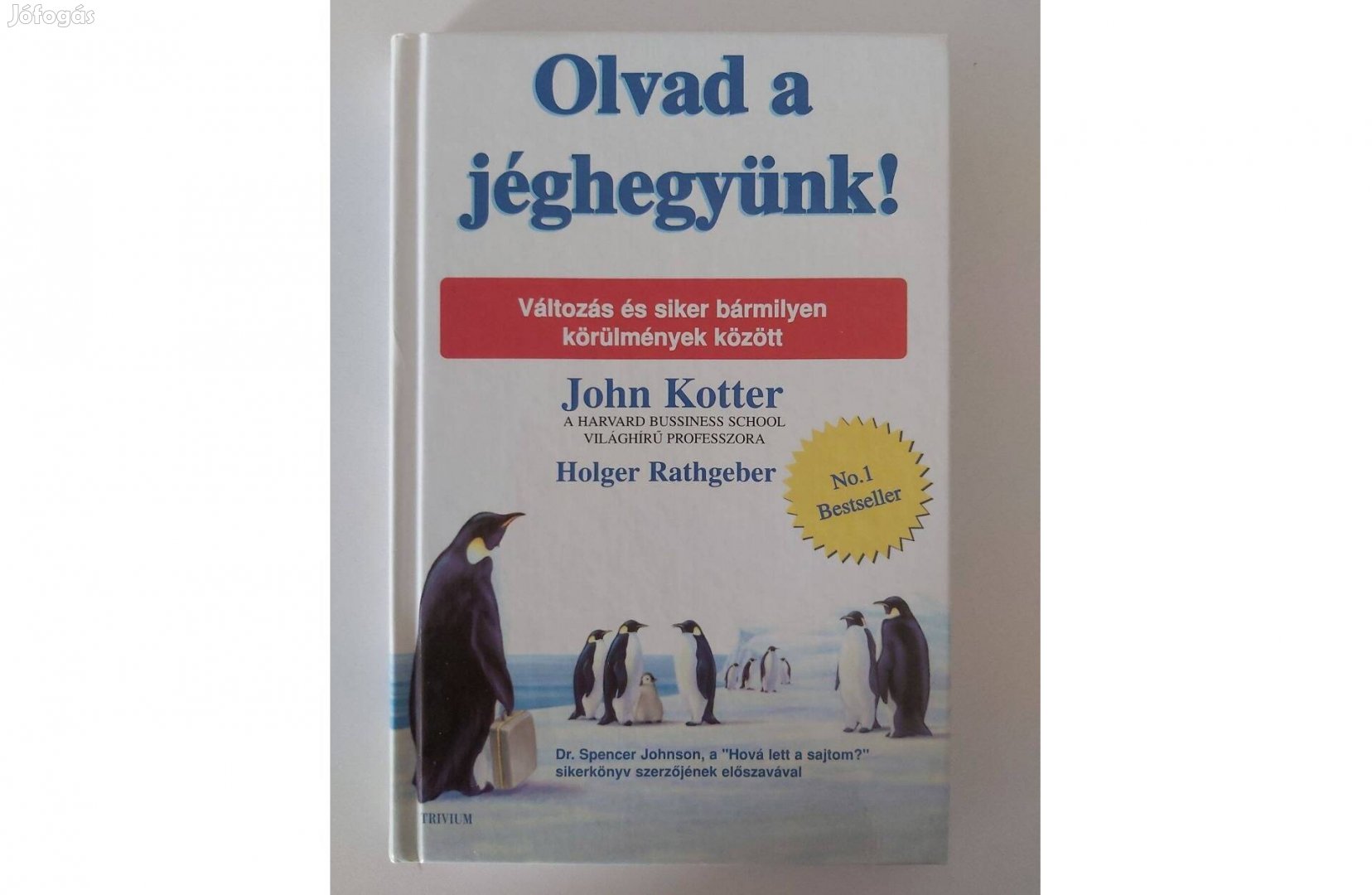 John Kotter: Olvad a jéghegyünk!