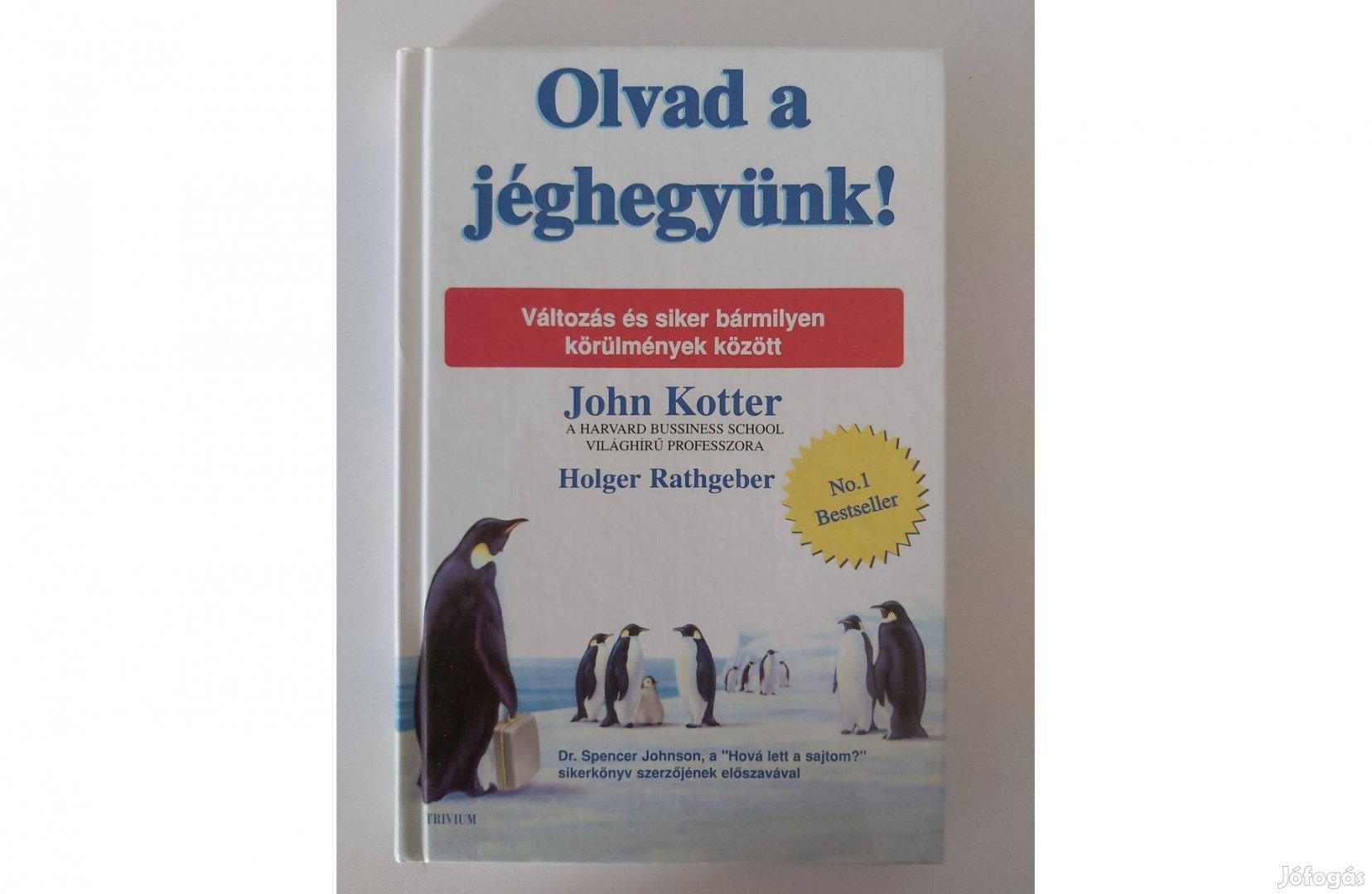 John Kotter: Olvad a jéghegyünk!