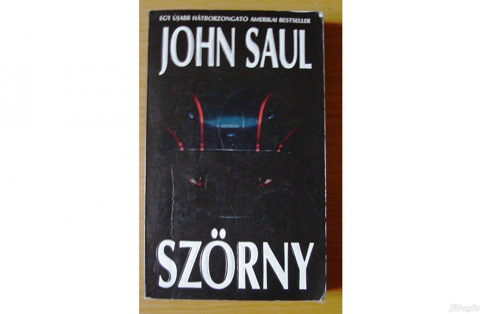 John Saul: Szörny