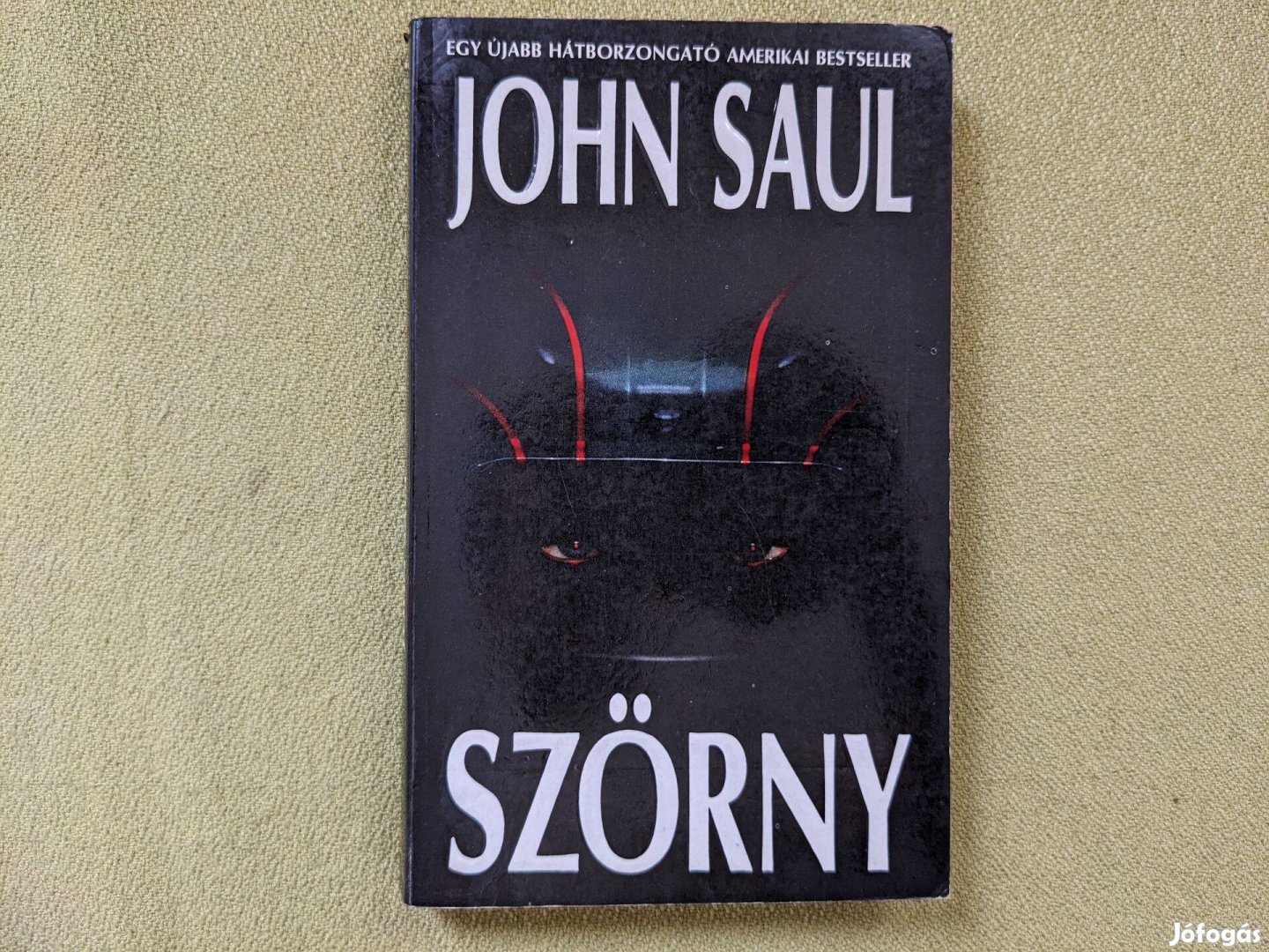 John Saul: Szörny