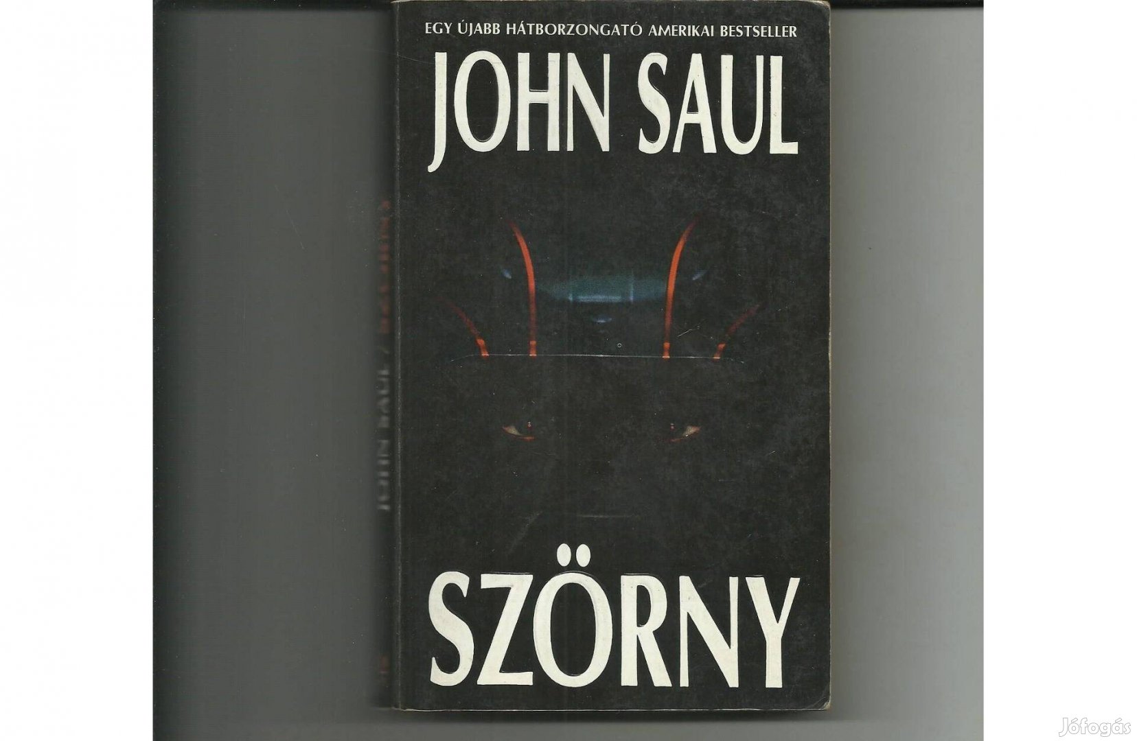 John Saul: Szörny című könyv eladó