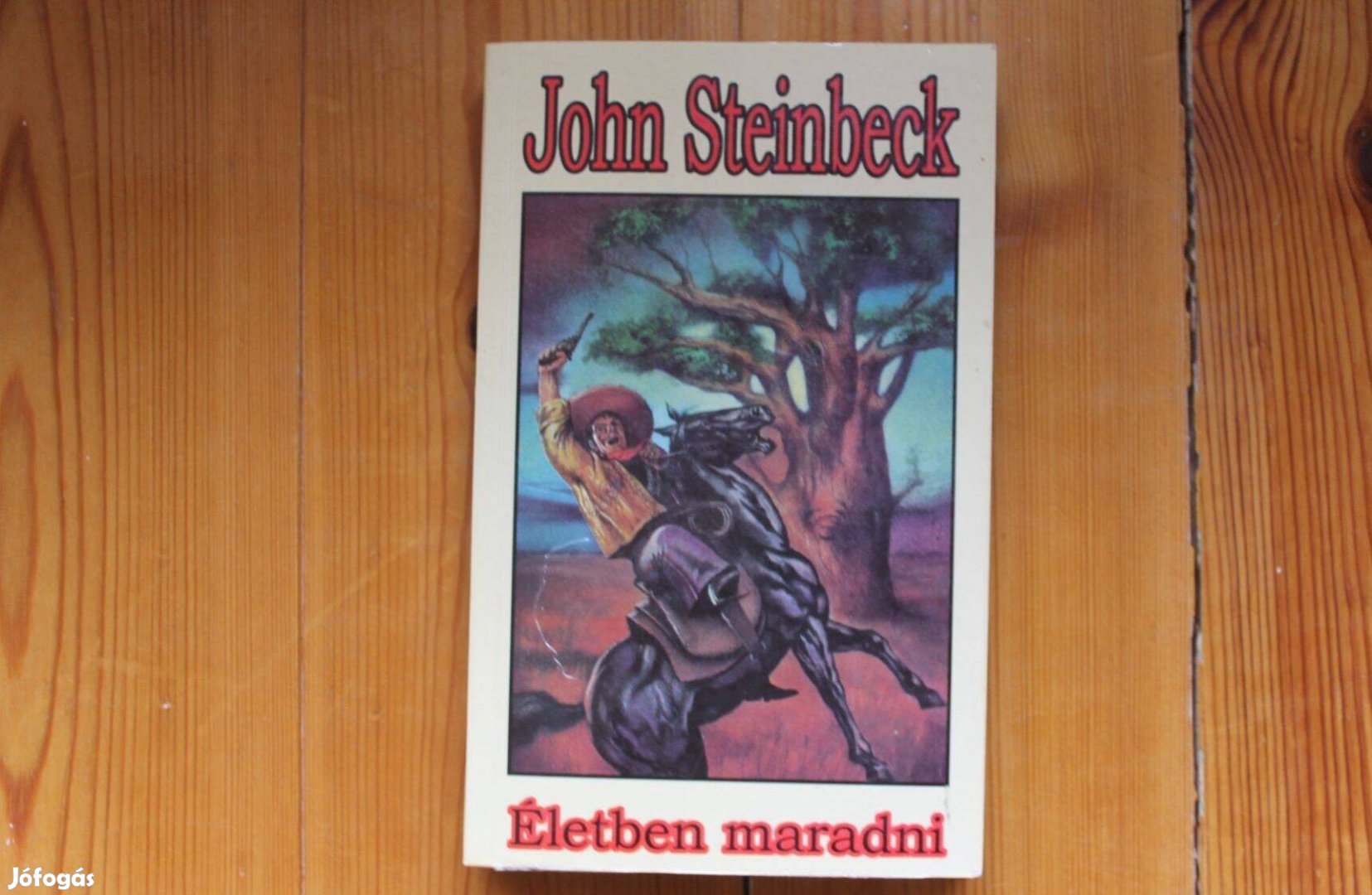 John Steinbeck - Életben maradni