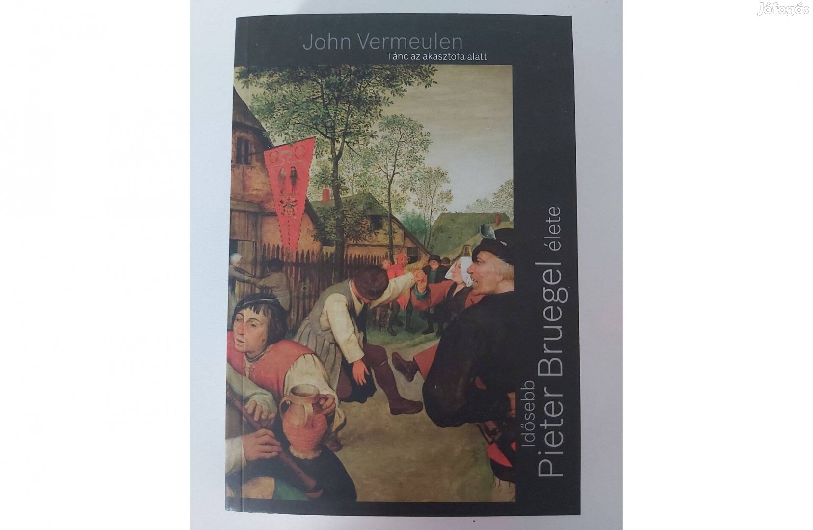 John Vermeulen: Tánc az akasztófa alatt (Idősebb Pieter Bruegel élete)