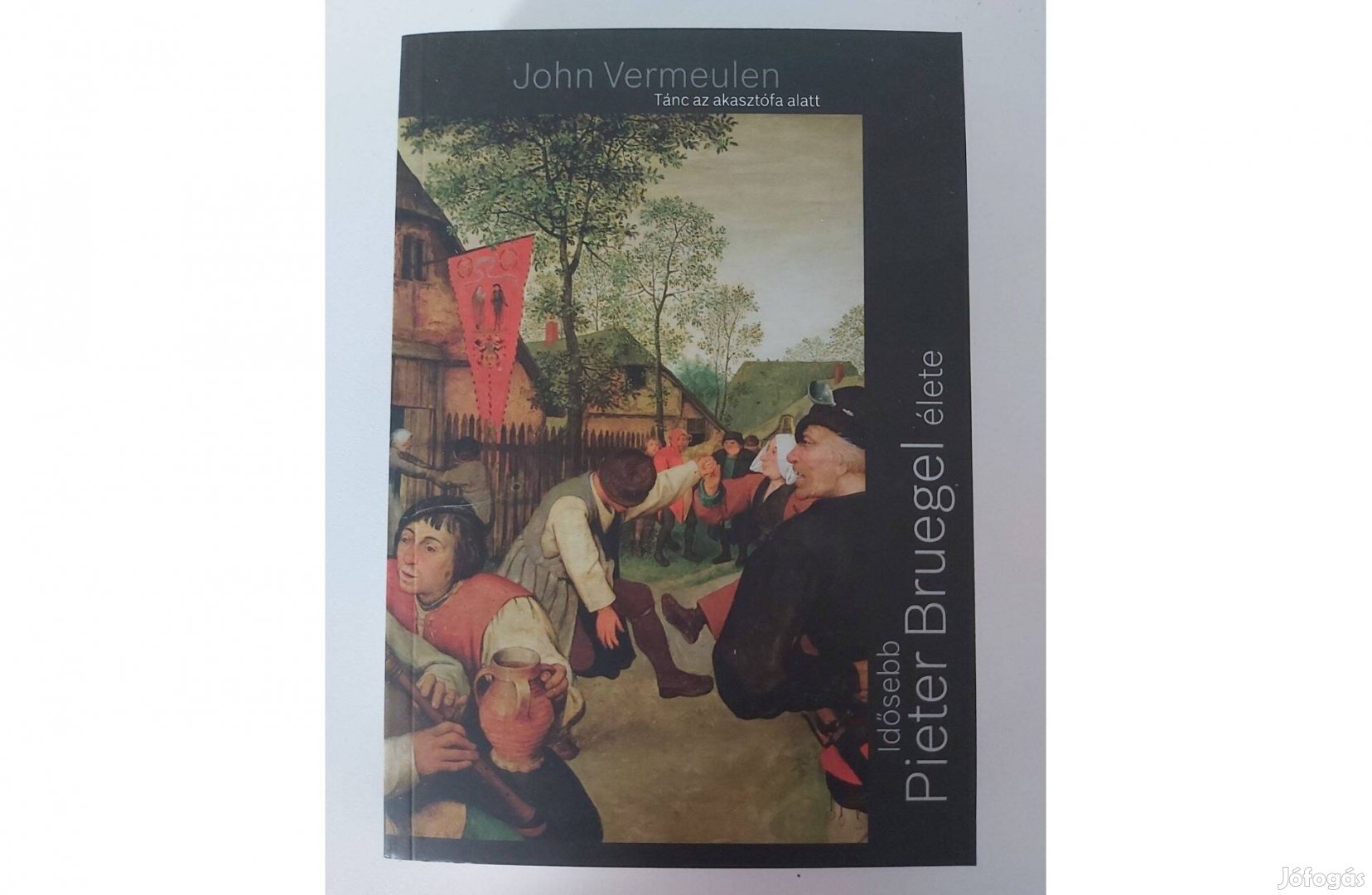 John Vermeulen: Tánc az akasztófa alatt (Idősebb Pieter Bruegel élete)