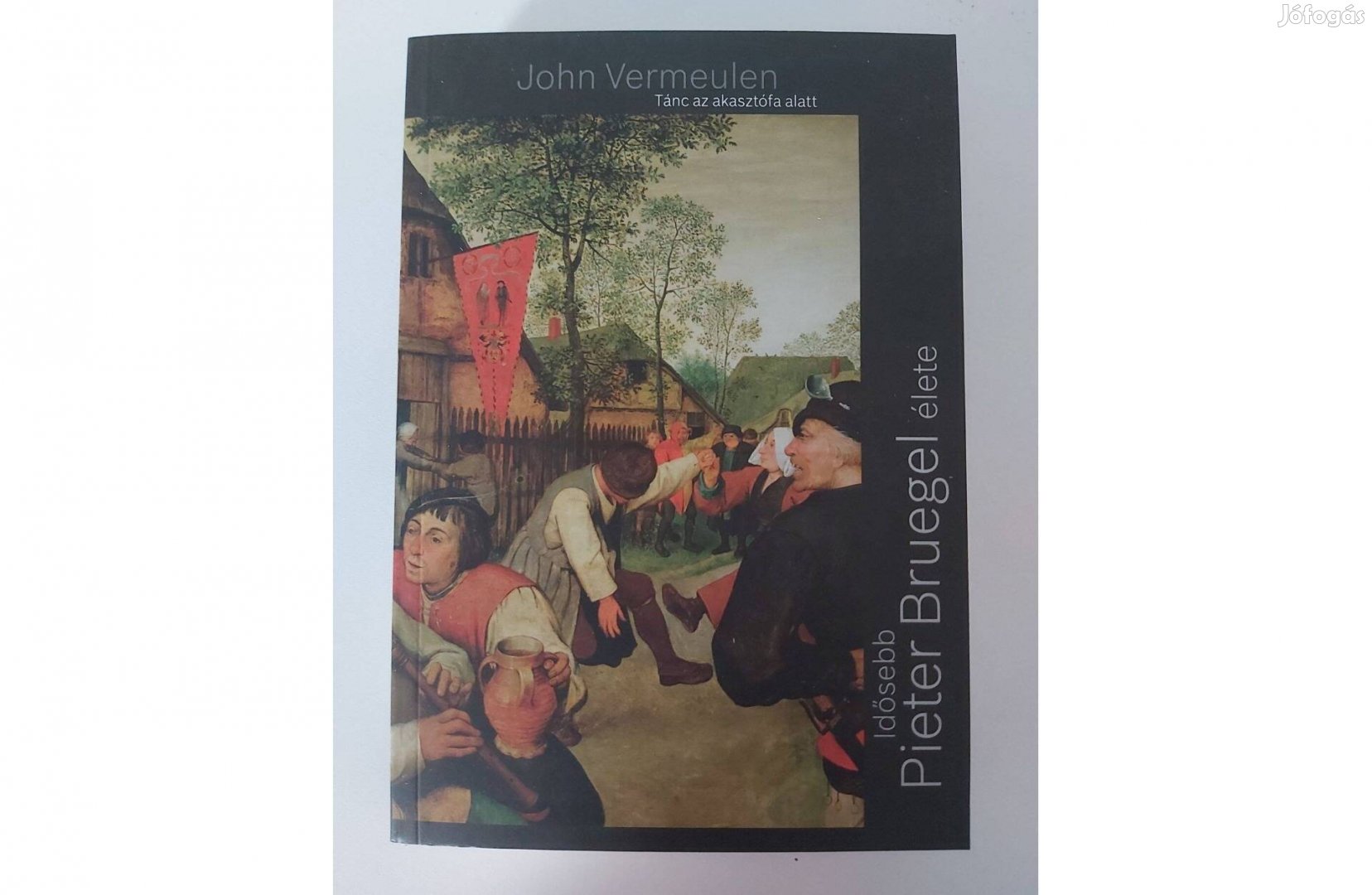 John Vermeulen: Tánc az akasztófa alatt (Idősebb Pieter Bruegel élete)