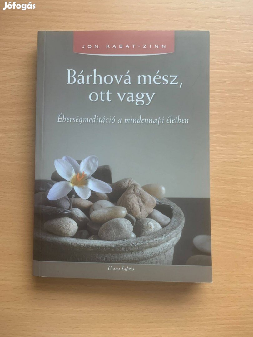 Jon Kabat - Zinn: Bárhová mész, ott vagy - Éberségmeditáció