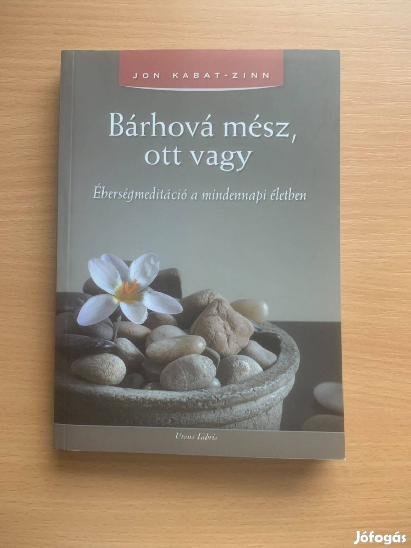 Jon Kabat - Zinn: Bárhová mész, ott vagy - Éberségmeditáció