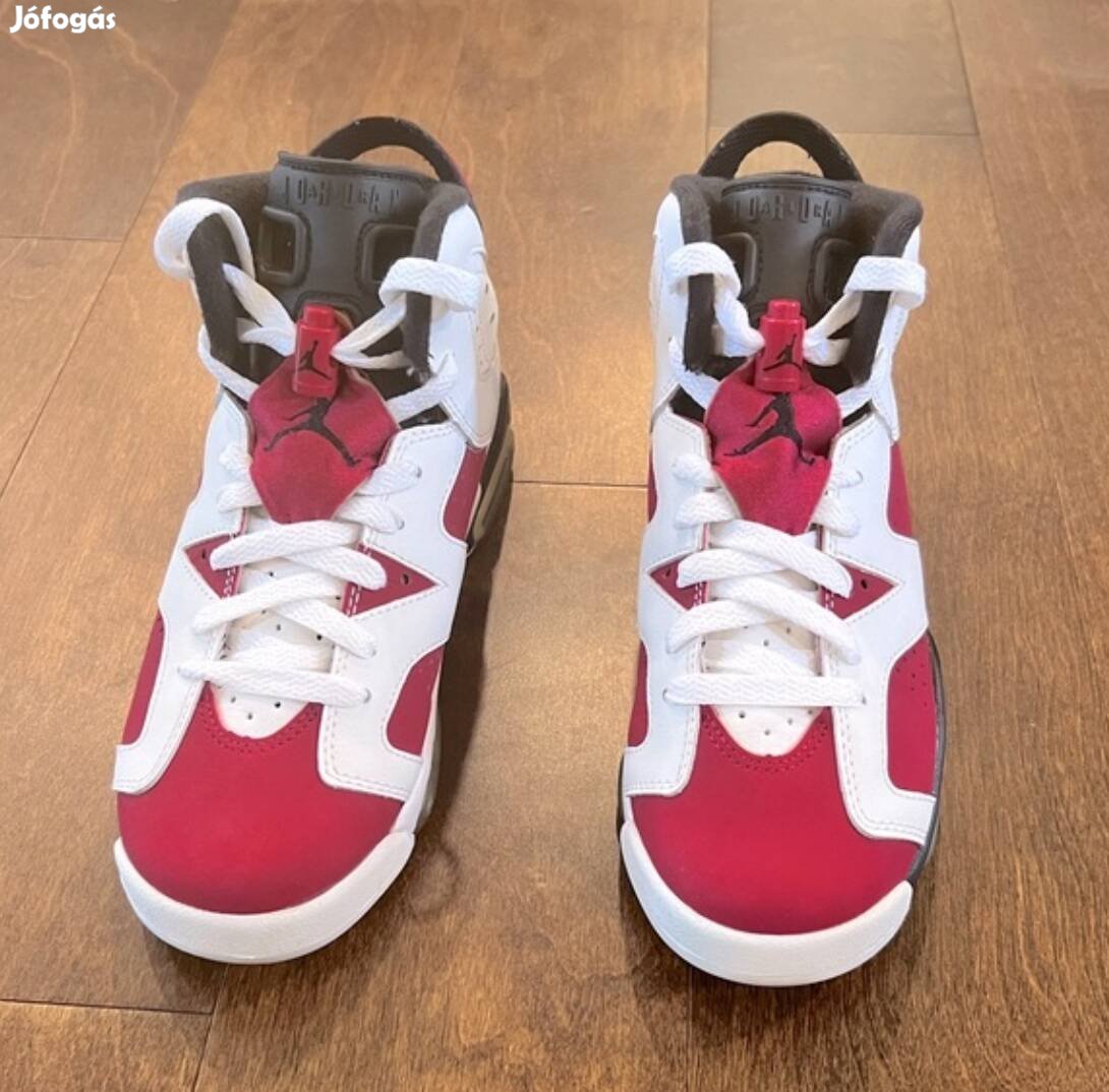 Jordan 6 Retro Carmine (2021)